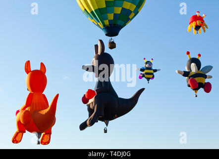 Heißluftballons aufsteigend am Albuquerque, New Mexico International Hot Air Balloon Festival. Stockfoto