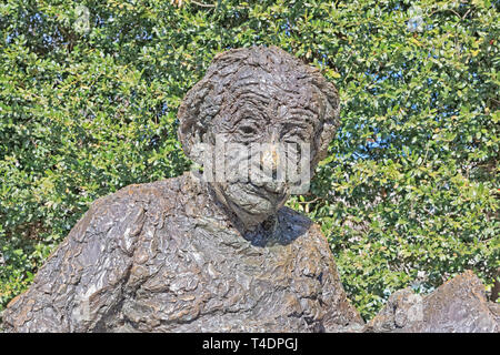 Albert Einstein Memorial in Washington DC, USA Stockfoto