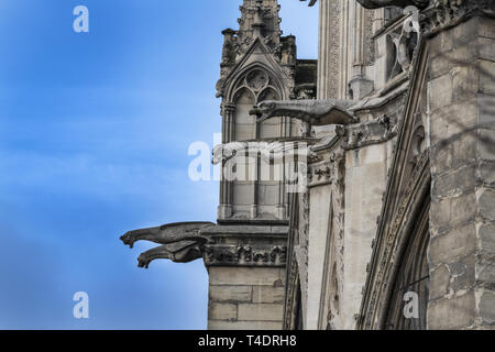 Die berühmten Wasserspeier von Notre Dame de Paris, eine gotische Architektur Funktion verwendet das Regenwasser vom Dach abzulenken, und nehmen Sie sie von der Alle vermitteln. Stockfoto