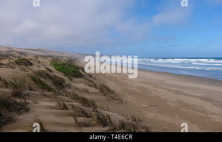 Grasbewachsene Dünen auf der Oystercatcher Trail. In Boggamsbaii in der Nähe von Mossel Bay an der Garden Route, Südafrika fotografiert. Stockfoto