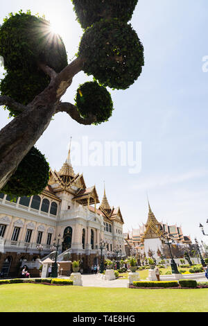 BANGKOK, THAILAND - MÄRZ 2019: Blick über Grand Palace und Chakri Maha Prasat Halle durch die Bäume und Büsche am sonnigen Tag Stockfoto