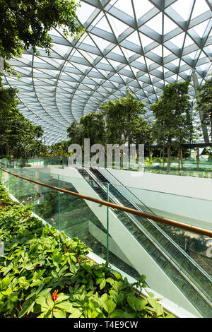 Vertikaler Blick auf den Inlandgarten am Jewel Changi Airport, ein einzigartiges Verkaufsargument für die internationale Luftfahrt. Singapur, Südostasien. Stockfoto