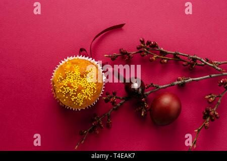 Ostern Muffin mit Schleife dekoriert und besprüht, gefärbte Eier und ein Zweig der Aprikosenbaum auf dunklem Rosa oder Pink Hintergrund. Grußkarte. Stockfoto