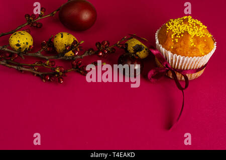 Ostern Muffin mit Schleife dekoriert und besprüht, gefärbte Eier und ein Zweig der Aprikosenbaum auf dunklem Rosa oder Pink Hintergrund. Kopieren Sie Platz. Greetin Stockfoto