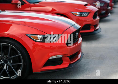 Eine Linie von Ford Mustangs aus der 2019 fabelhafte Furten für immer Auto Show in Anaheim Kalifornien. Stockfoto