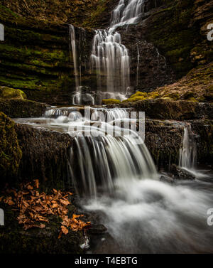 Scaleber fällt liegen in einem tiefen bewaldeten Schlucht in der Nähe der Marktstadt in den Yorkshire Dales. Die Fälle sind 40 Fuß hoch und Kaskade über limeston Stockfoto