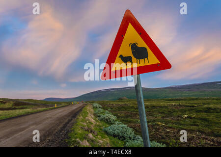 Schafe Schild auf der Schotterstraße neben Godafoss Wasserfall in Island Stockfoto