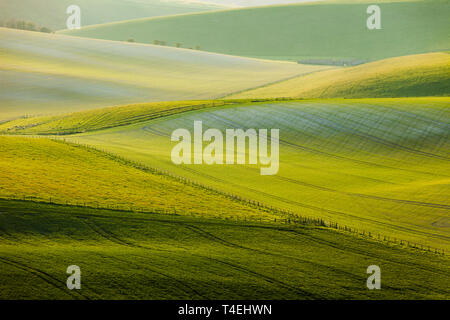 Frühling Sonnenaufgang in South Downs National Park, West Sussex, England. Stockfoto