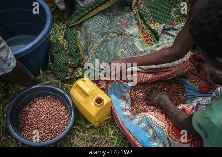 Lokale Mosambikaner teilen Teile des World Food Program Hilfe in Bebedo, Mosambik, 8. April 2019, bei humanitären Hilfsaktionen in der Republik Mosambik und der umliegenden Gebiete nach dem Zyklon Idai. Mannschaften von Combined Joint Task Force-Horn in Afrika, die führenden US-amerikanischen Verteidigungsministerium unterstützt Hilfsmaßnahmen in Mosambik, begann der unmittelbaren Vorbereitung zu reagieren nach einem Aufruf zur Unterstützung der US-Agentur für Internationale Entwicklung Katastrophenhilfe Response Team. Stockfoto