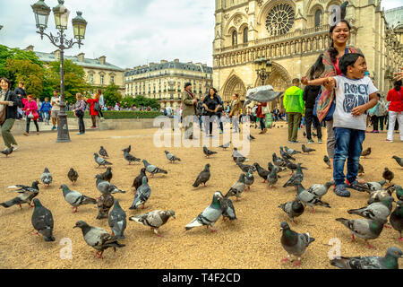 Paris, Frankreich, 1. Juli 2017: Lustig Kind füttert Tauben in Notre Dame entfernt. Junge tourist genießt in Paris. Beliebtes Reiseziel in französischer Sprache Stockfoto