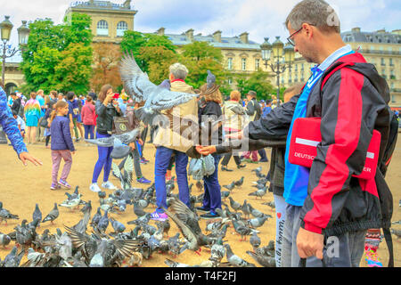 Paris, Frankreich, 1. Juli 2017: Tauben füttern Notre Dame Platz voll von Menschen. Junge tourist genießt in Paris. Beliebtes Reiseziel in französischer Sprache Stockfoto