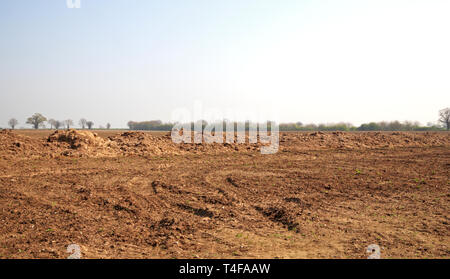 Ein landwirtschaftlicher Bereich mit einer Linie der Dünger für das Pflügen in Limpenhoe, Norfolk, England, Vereinigtes Königreich, Europa bereit. Stockfoto