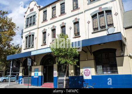 Chippendale in Sydney und den Chippo hotel, das ist ein Public House und Bar, Sydney, Australien Stockfoto