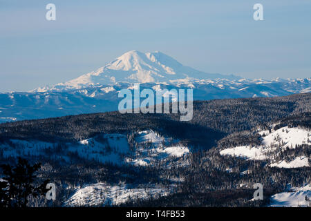 Mt Rainier von Mission gesehen Grat etwa 69 Meilen nordöstlich im Winter scheint sehr groß, weil der relativ niedrigen Ländereien rund um den Gipfel. Stockfoto