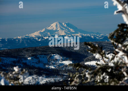 Mt Rainier von Mission gesehen Grat etwa 69 Meilen nordöstlich im Winter scheint sehr groß, weil der relativ niedrigen Ländereien rund um den Gipfel. Stockfoto