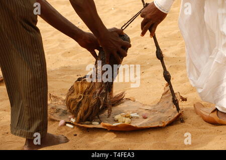 Voodoo festival Benin, ouidah am Strand, Rituale, Tanz, Gesang und Musik. Stockfoto