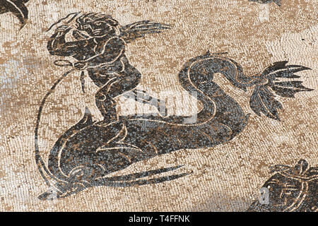 Detail von Nettuno triumph Mosaik in der Thermen des Neptun in der Römischen archäologischen Ausgrabungen von Ostia Antica - Italien Stockfoto