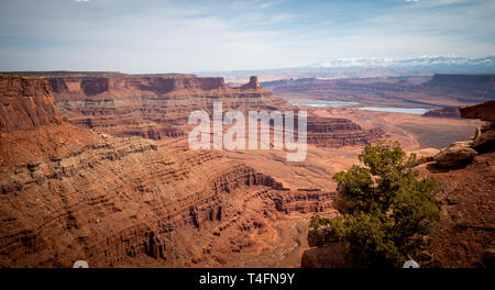 Die unendliche Tal bei Dead Horse Point in Utah Stockfoto