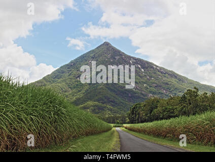 Walsh's Pyramid - Perspektive der 922 Meter natürliche Pyramide aus Behana Gorge Rd, etwa 26 km südlich von Cairns, direkt an der Bruce Highway in Aloomba Stockfoto