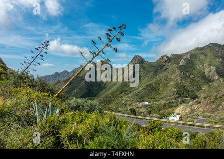 Atemberaubende Aussicht auf die Berge, das malerische Tal auf der TF-12 Straße, Teneriffa, Spanien Stockfoto