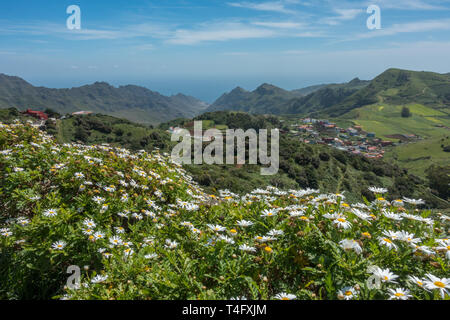 Atemberaubende Aussicht auf die Berge über Frühling Blumen in Las Mercedes im Parque Rural de Anaga Park, TF-12 Straße Teneriffa, Spanien Stockfoto