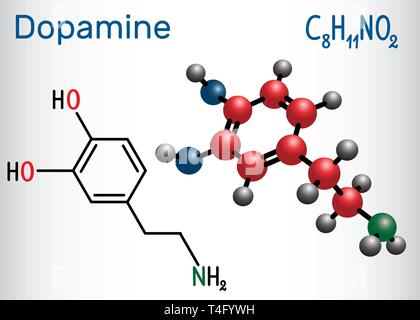 Dopamin (DA)-Molekül. Strukturelle chemische Formel und Molekül-Modell. Vector Illustration Stock Vektor