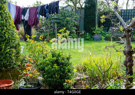 Eine Aussicht auf ein Wohngebiet zurück Garten mit Kleidung trocknen auf der Wäscheleine, hier im Frühjahr, wobei Pflanzen sind Grün und wachsenden gesehen. Stockfoto