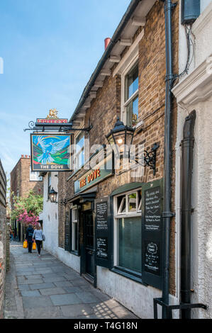 Die Taube ist ein historisches Fullers Public House an der Themse am oberen Mall, Hammersmith. Stockfoto