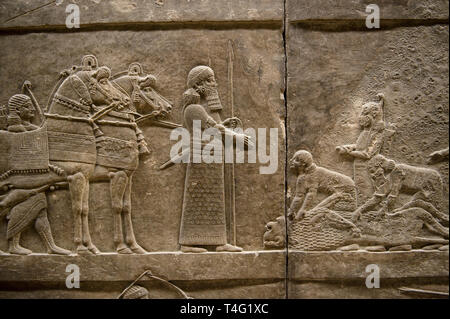 Assyrischen Relief Skulptur Panel von Ashurnasirpal Löwenjagd.  Von Ninive Norden Palace, Irak, 668-627 v. Chr.  British Museum Assyrian archäologischen Stockfoto