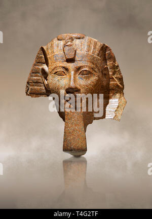 Antike Ägyptische Statue Kopf der Königin Hatschepsut oder König Thutmosis III. Das alte Ägypten 18 Dynaty, 1460-1450 BC. Neues Museum Berlin Cat No: 34431 BIN Stockfoto