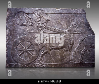 Stein Relief modellierte Panel von aa Assyrische Streitwagen. Aus dem Palast von ASSURNASIRPAL II Zimmer VI/T1, Ninive, dritten Quartal des 8. vorchristlichen Jahrhunderts. Stockfoto