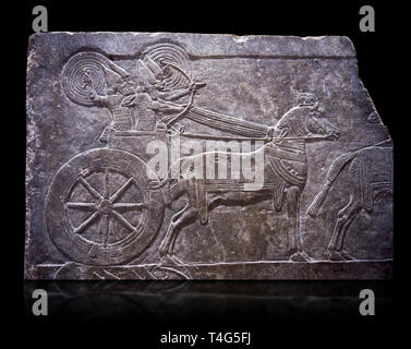 Stein Relief modellierte Panel von aa Assyrische Streitwagen. Aus dem Palast von ASSURNASIRPAL II Zimmer VI/T1, Ninive, dritten Quartal des 8. vorchristlichen Jahrhunderts. Stockfoto