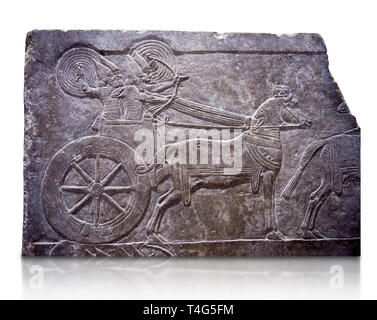 Stein Relief modellierte Panel von aa Assyrische Streitwagen. Aus dem Palast von ASSURNASIRPAL II Zimmer VI/T1, Ninive, dritten Quartal des 8. vorchristlichen Jahrhunderts. Stockfoto