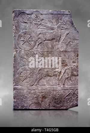 Stein Relief modellierte Panel von aa Assyrische Streitwagen. Aus dem Palast von Assurbanipal Zimmer VI/T1, Nimrud, dritten Quartal des 8. Jh. v. Chr..inv 199 Stockfoto