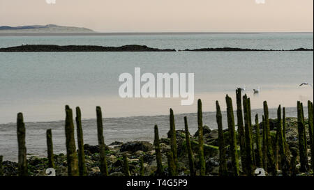 Authie Bay, Berck, Picardie, Hauts-de-France, Frankreich Stockfoto