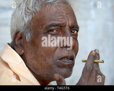 Älteren indischen Mann hält einen billigen indischen Mini-Zigarre (BEEDI) in der rechten Hand und sieht in die Kamera. Stockfoto