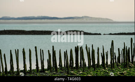 Authie Bay, Berck, Picardie, Hauts-de-France, Frankreich Stockfoto