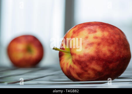 Reif, bunte fleckige Äpfel auf einem Rost und den Hintergrund von einem hellen Fenster. Stockfoto