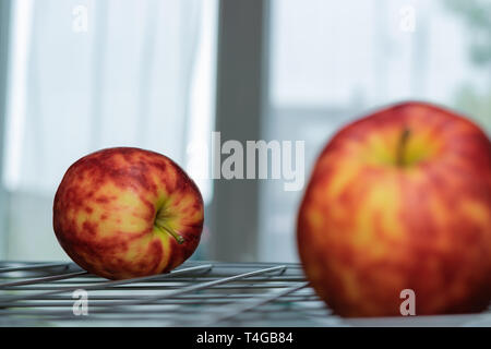 Reif, bunte fleckige Äpfel auf einem Rost und den Hintergrund von einem hellen Fenster. Stockfoto