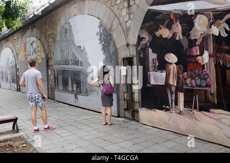 Phung Hung Straße Wandmalereien"Mã Hanoi Stockfoto