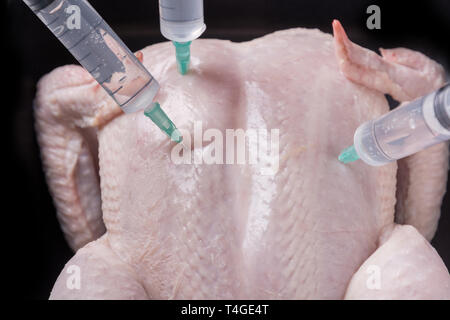 Frische Hähnchen mit Stuck Spritzen für Behandlung, Experimente und GVO auf schwarzem Hintergrund. Close Up. Stockfoto