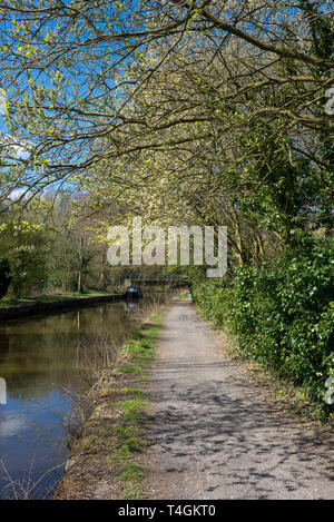 Sonniger Frühlingstag auf dem Gipfel Wald Kanal nahe Whaley Bridge, Derbyshire, England. Stockfoto