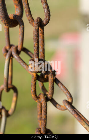 Alte rostige Kette und Kette links gegen eine natürliche grüne bokeh Hintergrund, Nahaufnahme, Block Island, Rhode Island Stockfoto