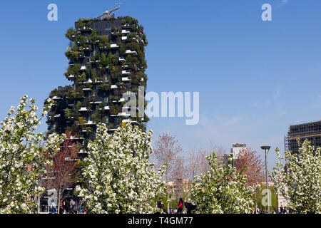 Mailand, Italien - 31. März 2019. Bosco Verticale Wohnturm an einem sonnigen Frühlingstag, Bäume in Blüte (von Boeri Studio entworfen), Porta Nuova dist Stockfoto