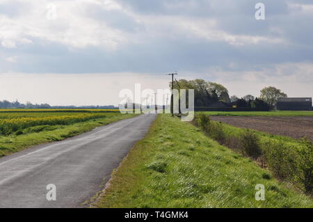 Holland Fen, nach Osten von OS Grid Reference 233485 Stockfoto