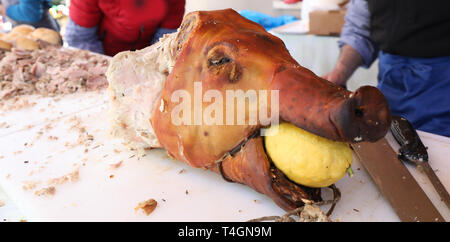 Fang aus gerösteten Schwein namens Porchetta in italienischer Sprache und eine gelbe Zitrone in den Mund während eines Festivals party Stockfoto