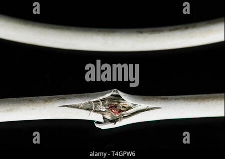 Der weiße Draht Kabel auf schwarzem Hintergrund isoliert beschädigt Stockfoto