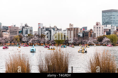 Kleiner See in Ueno Park mit Tretbooten in Tokio, Japan. Stockfoto