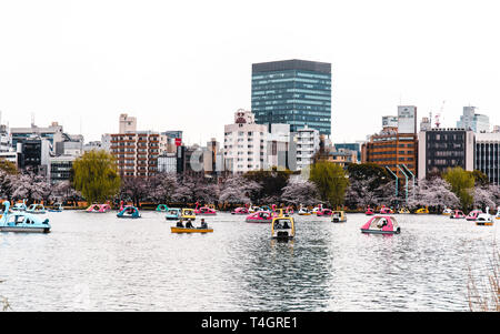 Kleiner See in Ueno Park mit Tretbooten in Tokio, Japan. Stockfoto