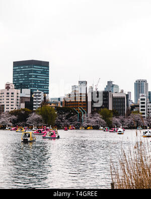 Kleiner See in Ueno Park mit Tretbooten in Tokio, Japan. Stockfoto